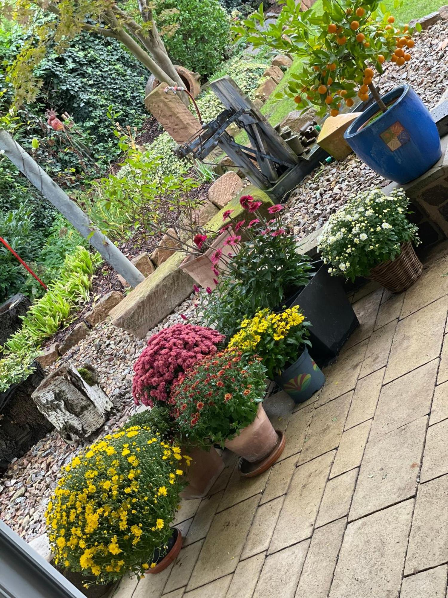 Ferienwohnung Sonnenschein Weinheim Luaran gambar